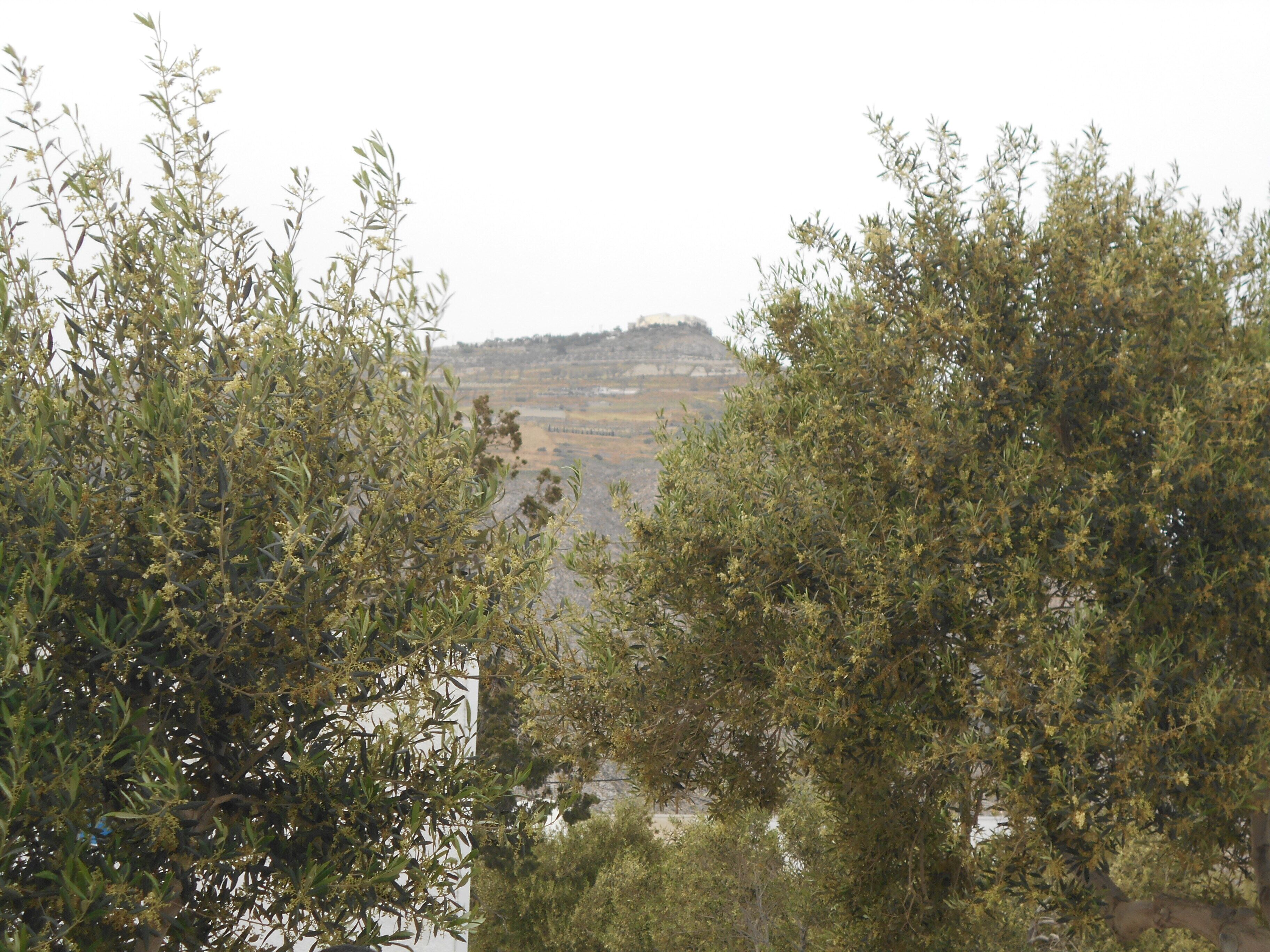 Foto - Hotel Porto Perissa