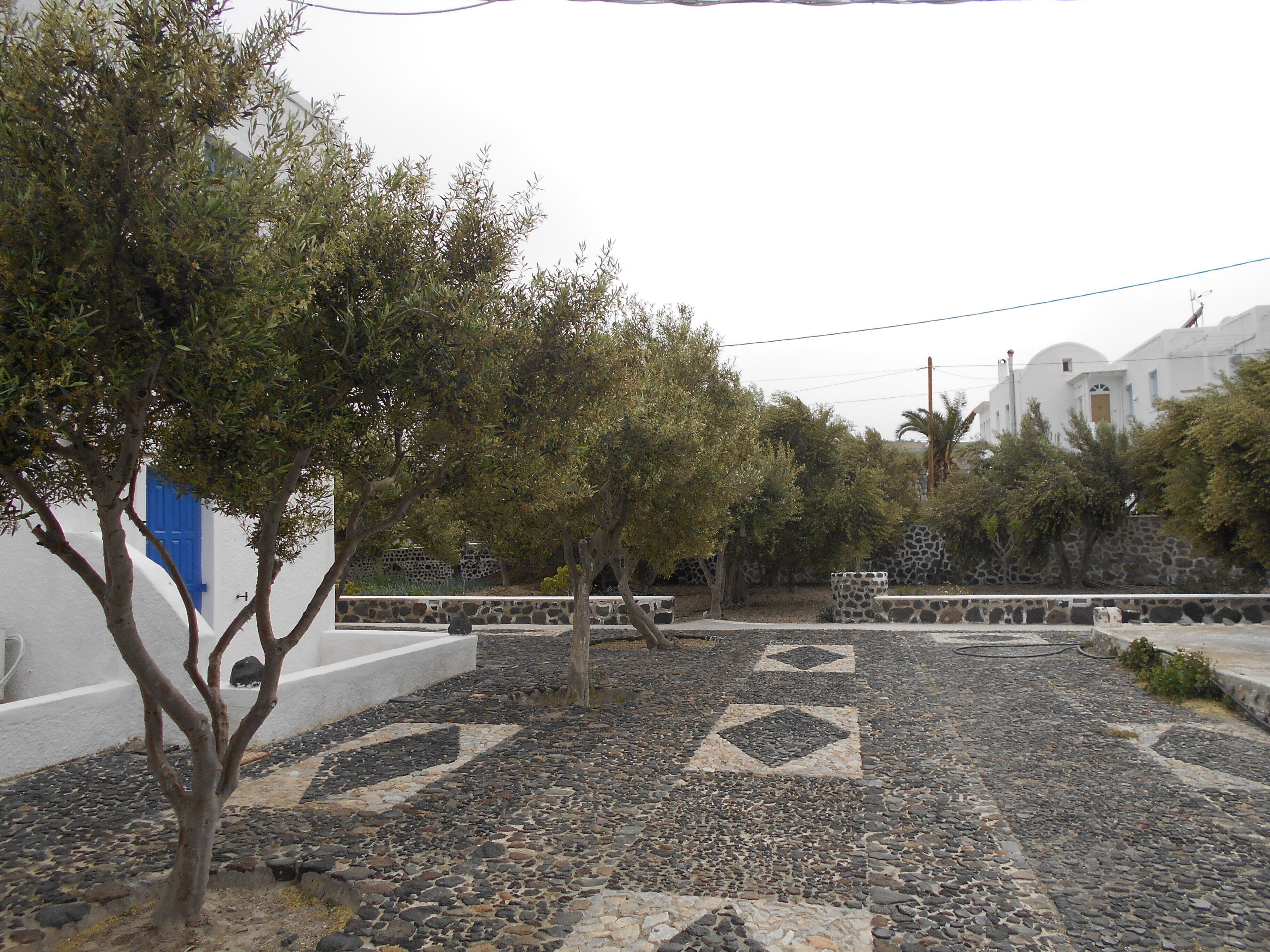 A courtyard with a stone mosaic floor, trees, and white buildings with blue doors.