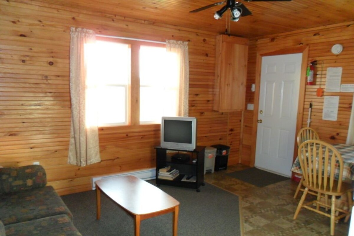 A wooden cabin interior with a sofa, a table, a television on a stand, a door, and a window with curtains.
