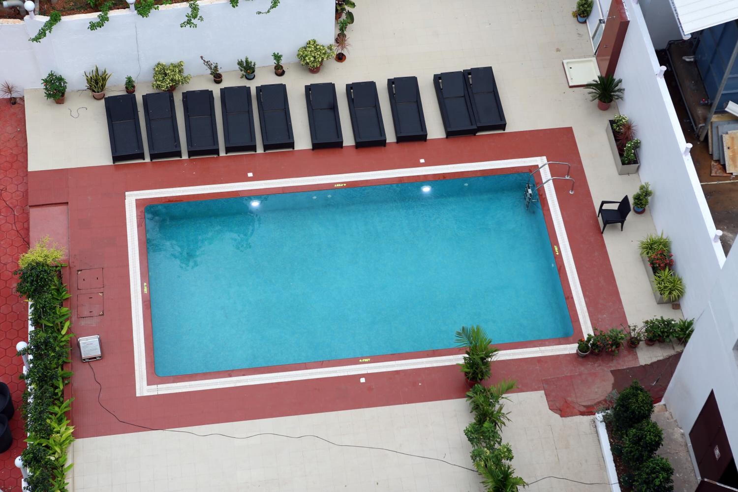 Vista aerea di una piscina rettangolare con bordo rosso, circondata da lettini e piante in vaso.