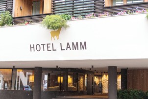 Entrada de un hotel con un letrero que dice "HOTEL LAMM" y la silueta de un perro sobre el letrero.
