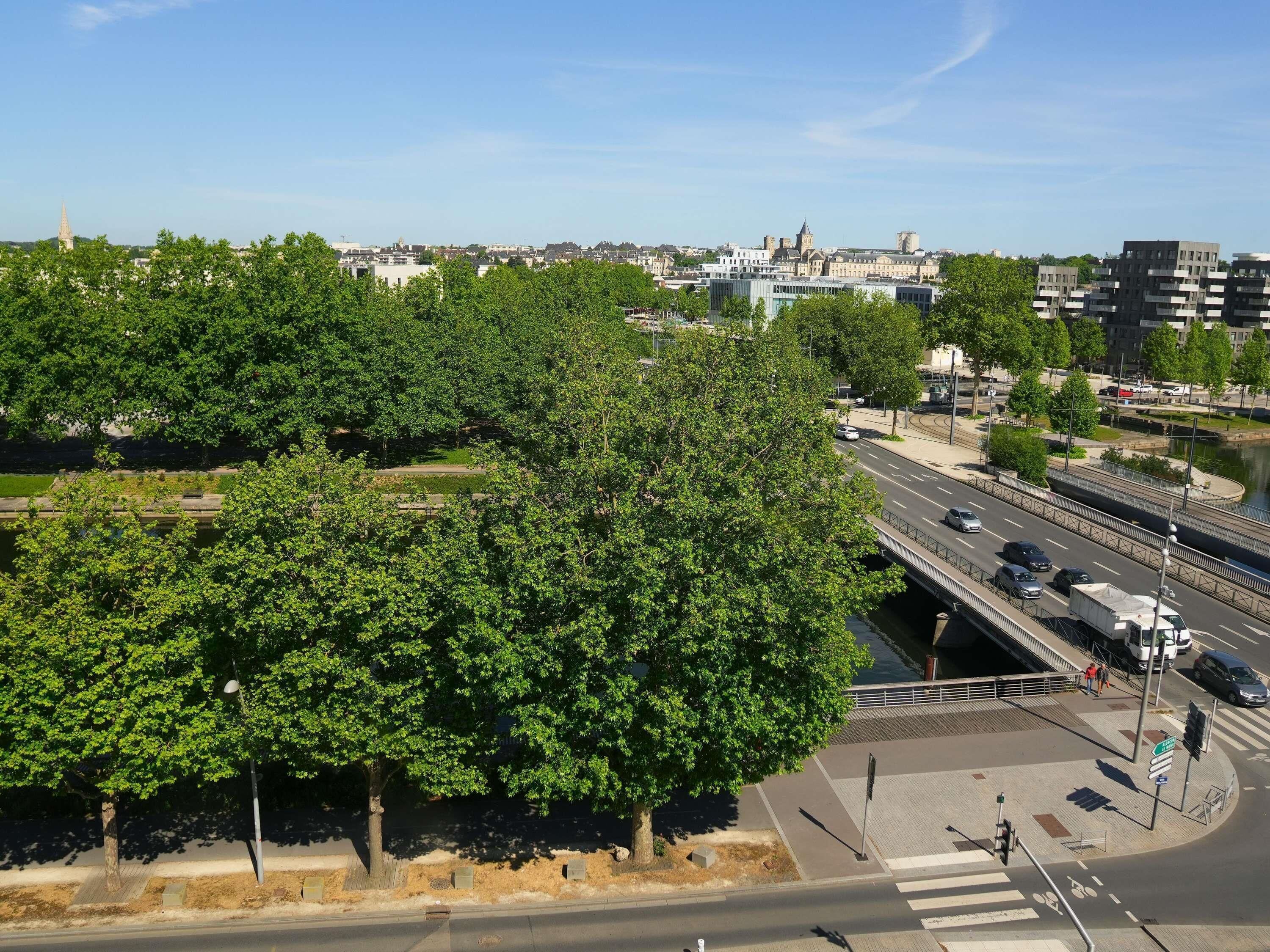 A cityscape with a prominent green park, a bridge, and a road with vehicles.
