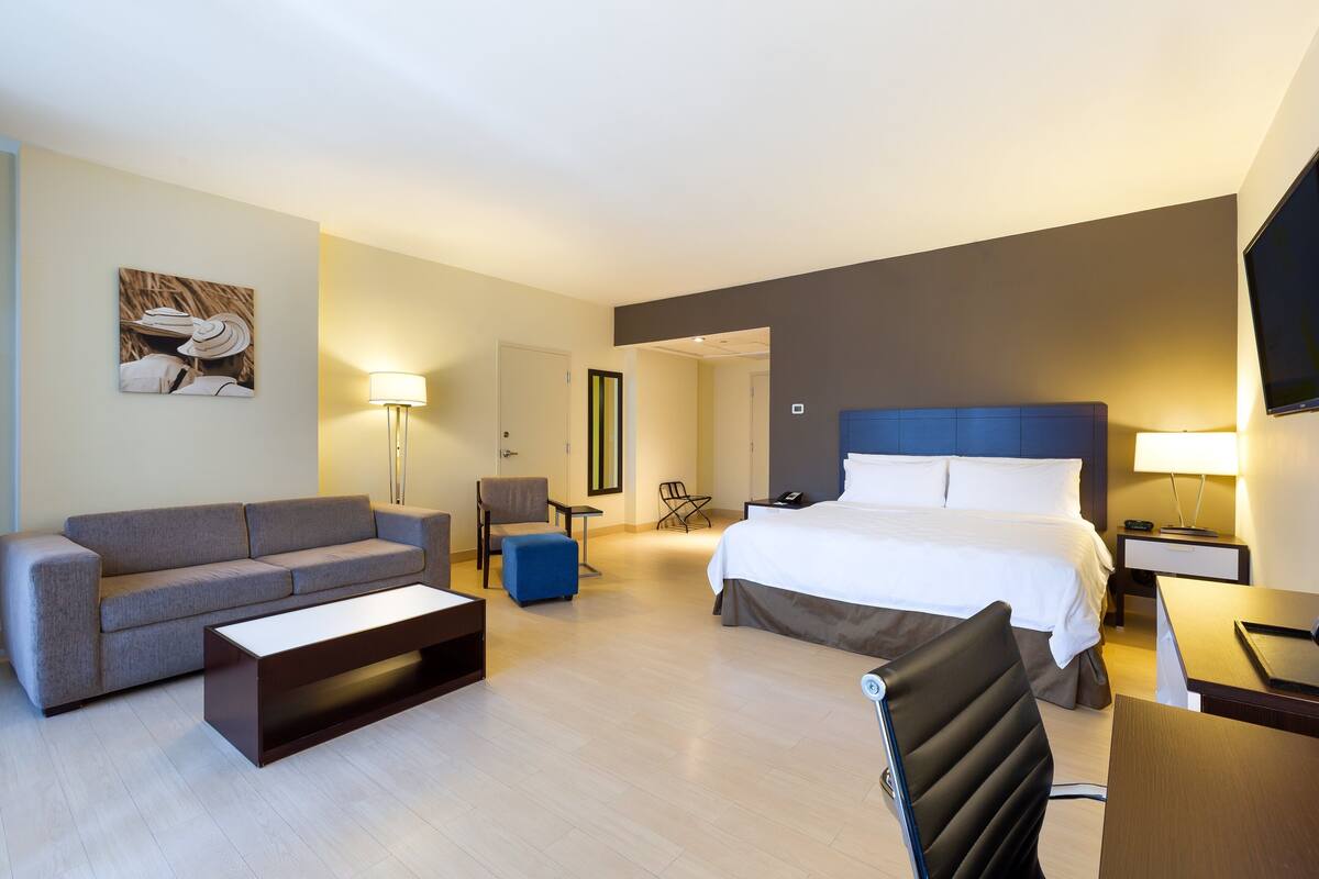 A modern hotel room with a sofa, a bed, a desk, and a chair.