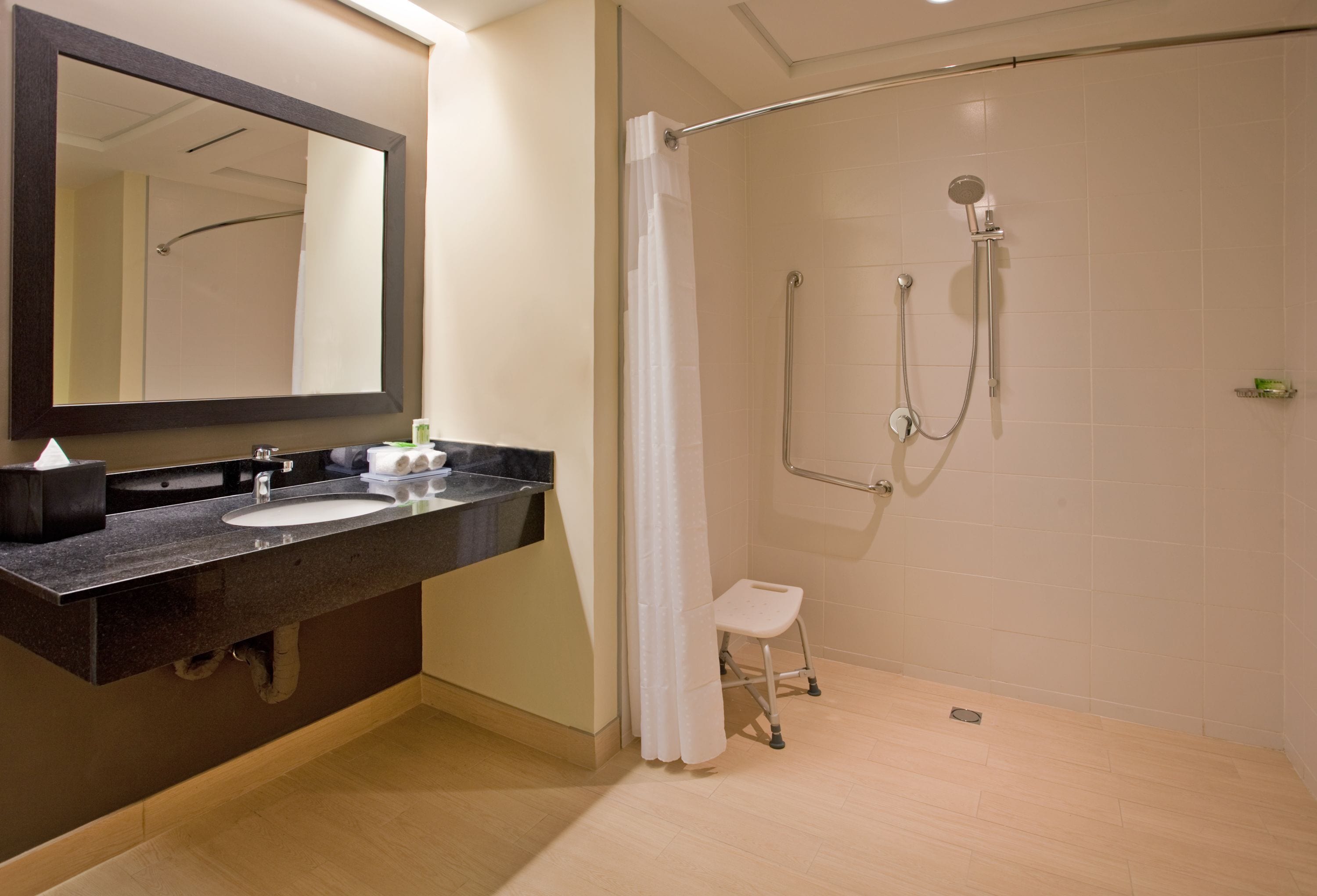 standard room, 1 king bed (accessible) | bathroom | shower, hair dryer, towels