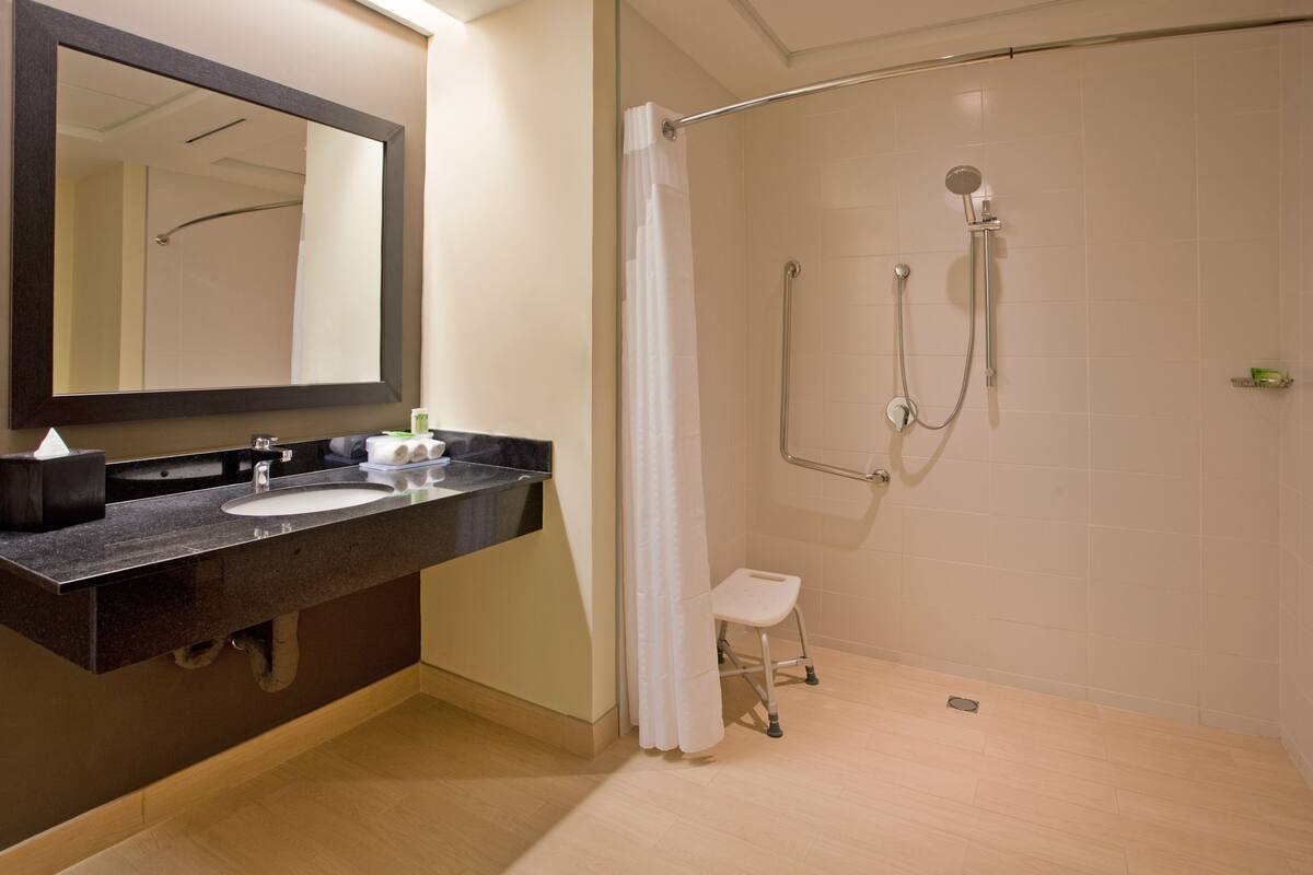standard room, 1 king bed (accessible) | bathroom | shower, hair dryer, towels