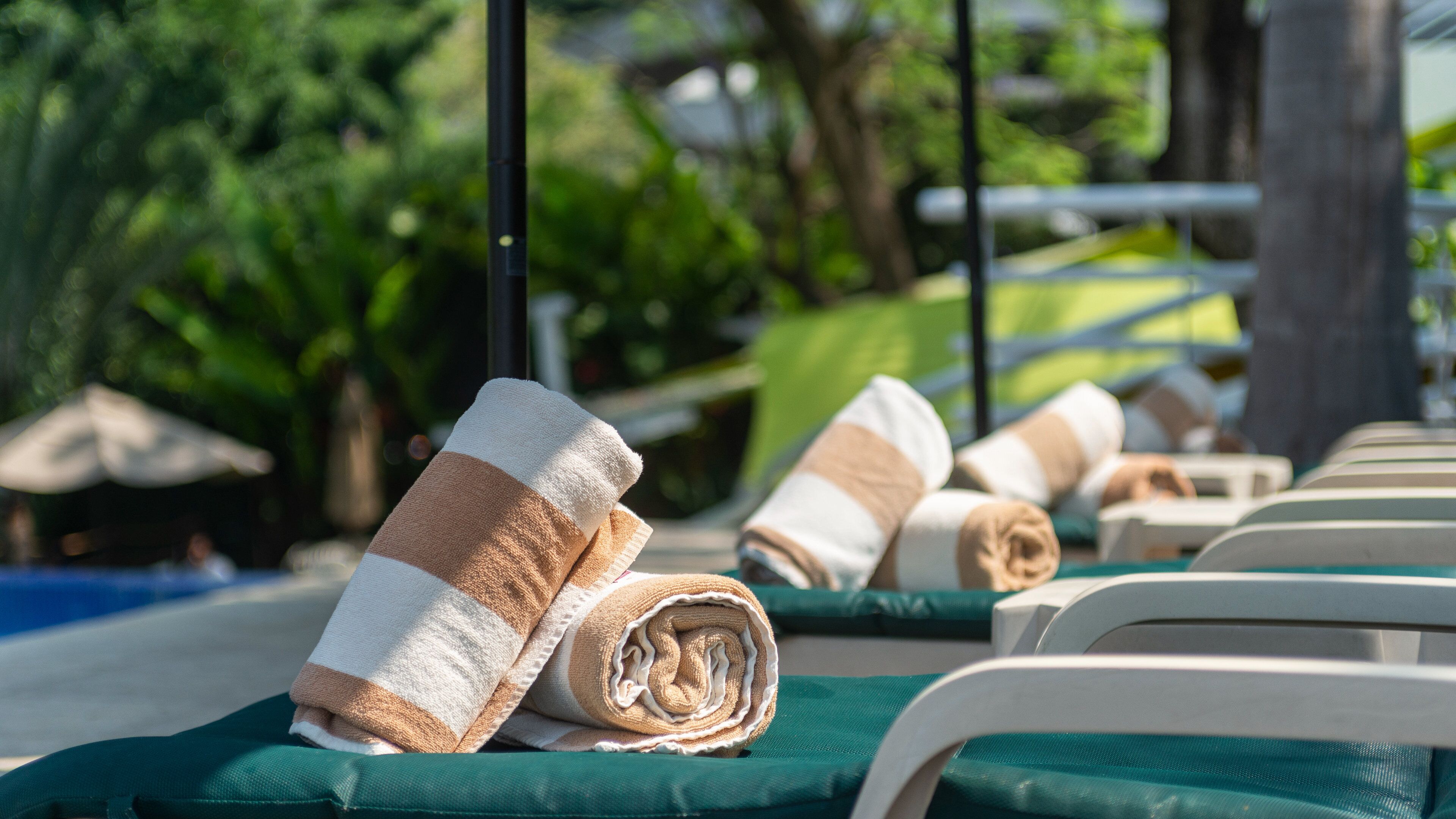 A row of sun loungers with towels rolled up on them, set against a backdrop of greenery and umbrellas.
