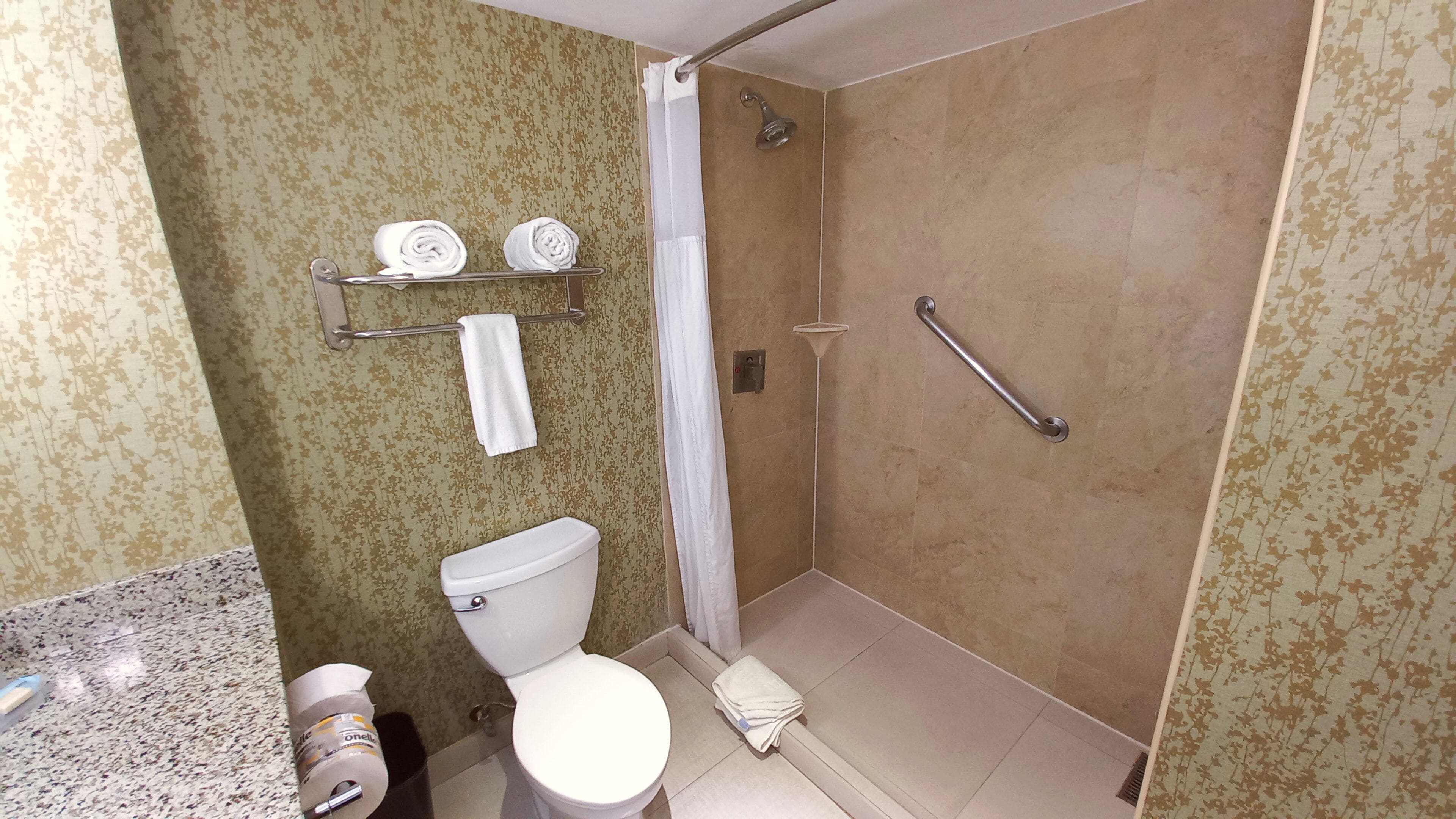 Free toiletries, hair dryer, towels