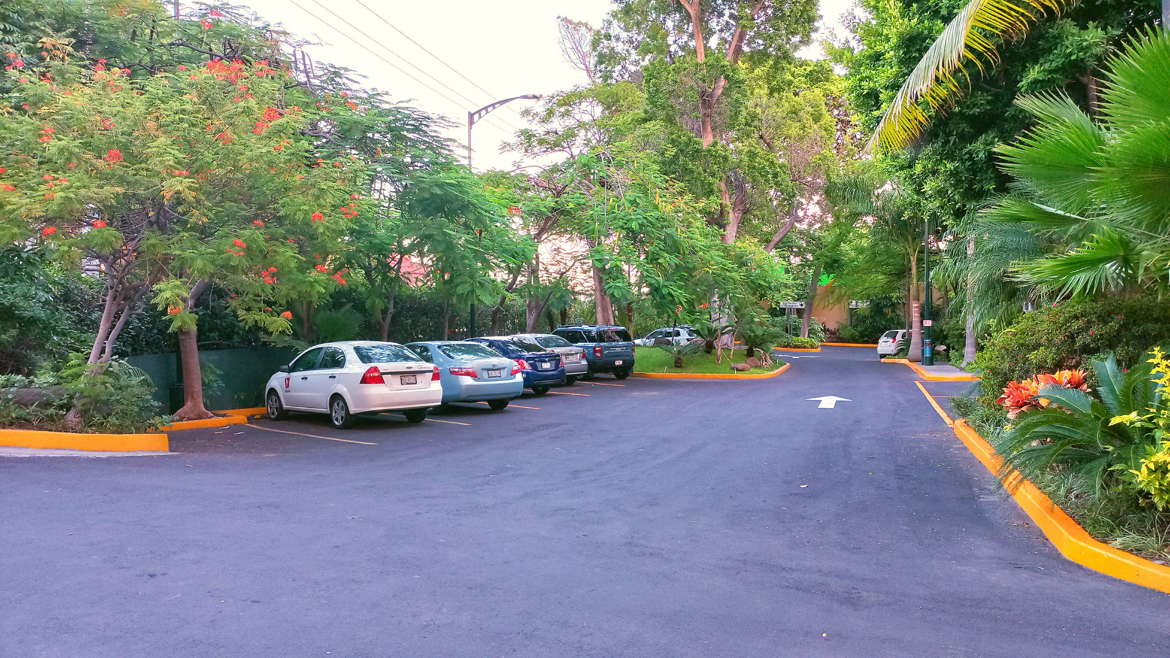 A parking area with multiple cars parked along a road lined with trees and greenery.
