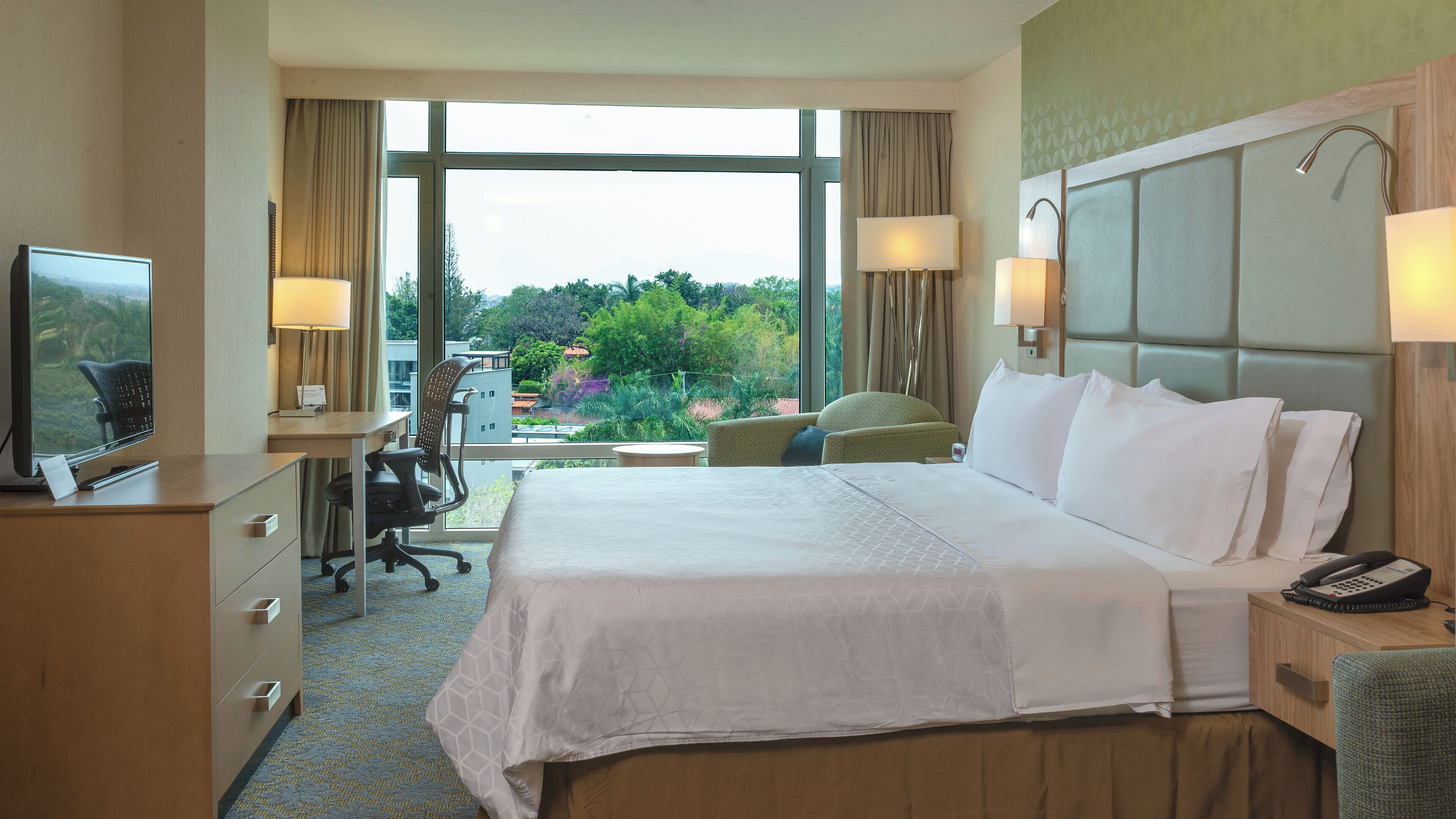 Habitación de hotel con una cama grande, un escritorio con silla, un televisor y vistas a zonas verdes.