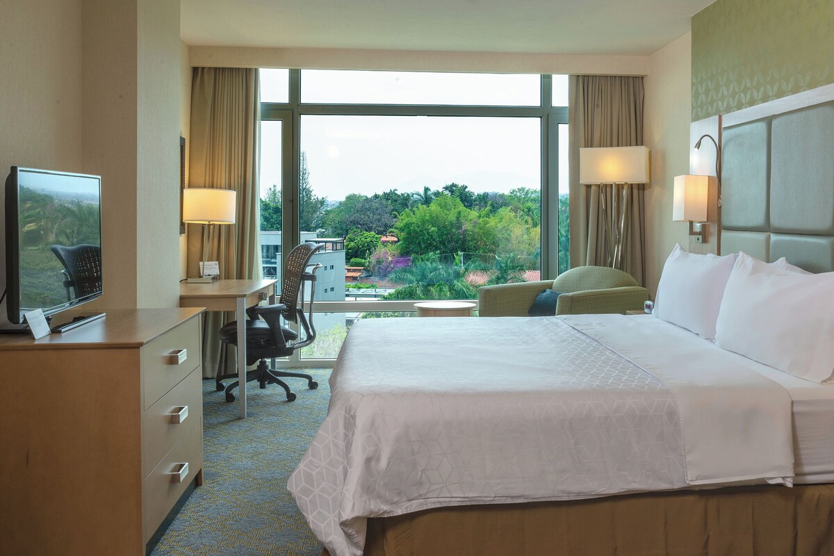 A hotel room with a large bed, a desk with a chair, a TV, and a view of greenery outside.