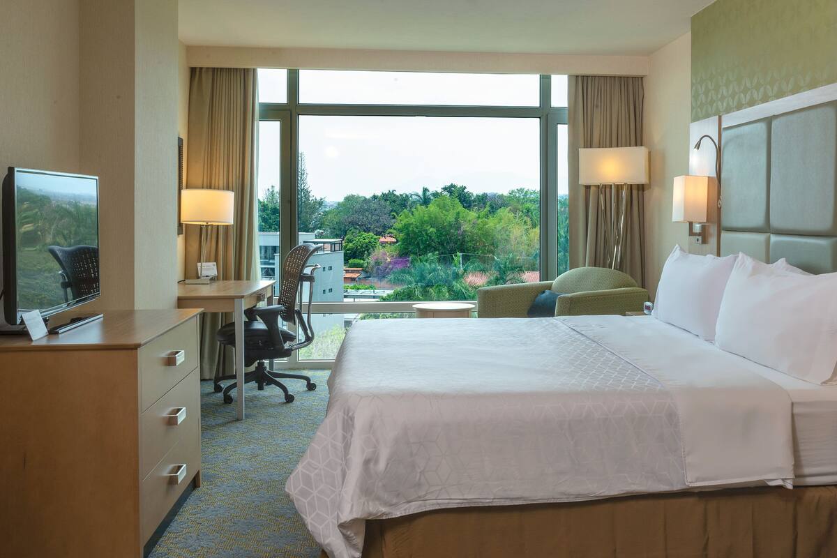 A hotel room with a large bed, a desk with a chair, a TV, and a view of greenery outside.