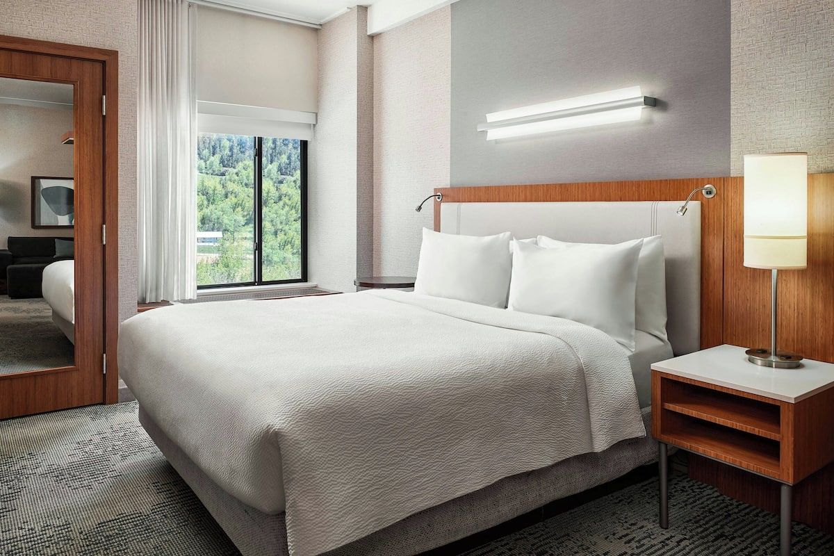 A hotel room with a large bed, a bedside table with a lamp, a mirror, and a view of greenery outside.