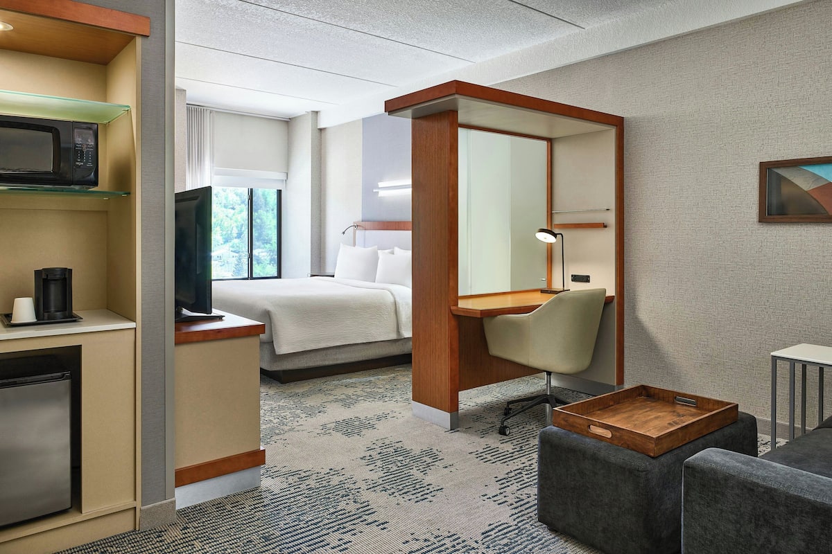 studio, 1 king bed with sofa bed | 1 bedroom, hypo-allergenic bedding, pillow-top beds, in-room safe