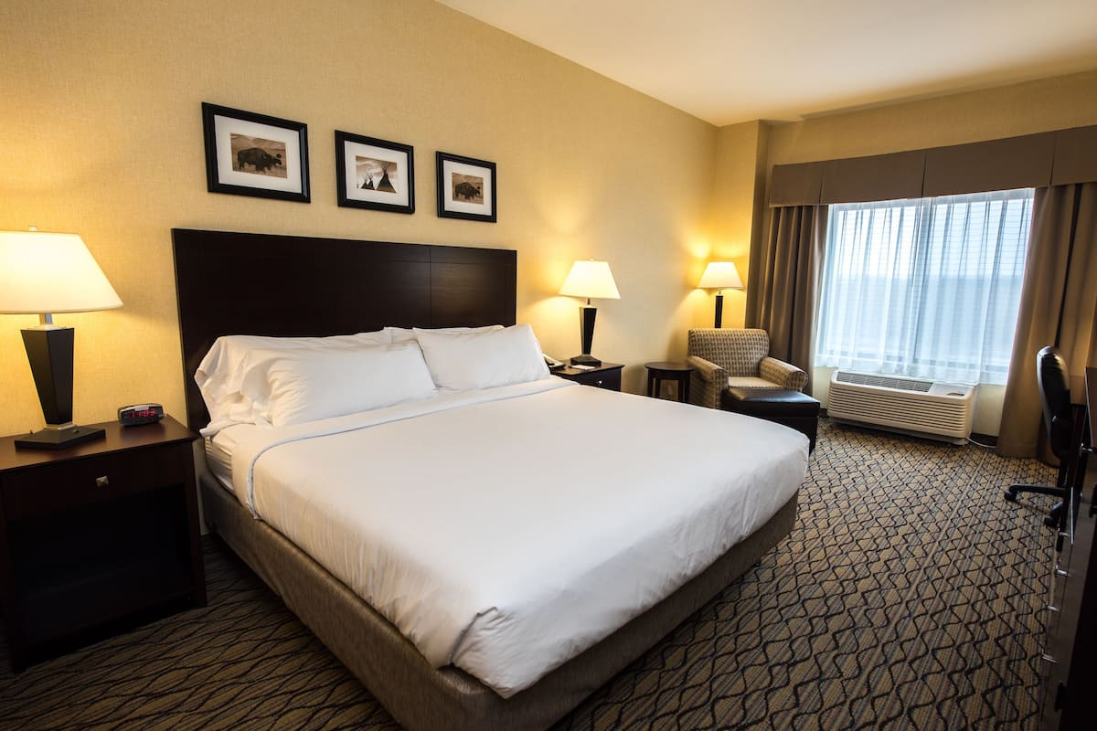 standard room, 1 king bed, non smoking | desk, iron/ironing board, free cots/infant beds, free wifi