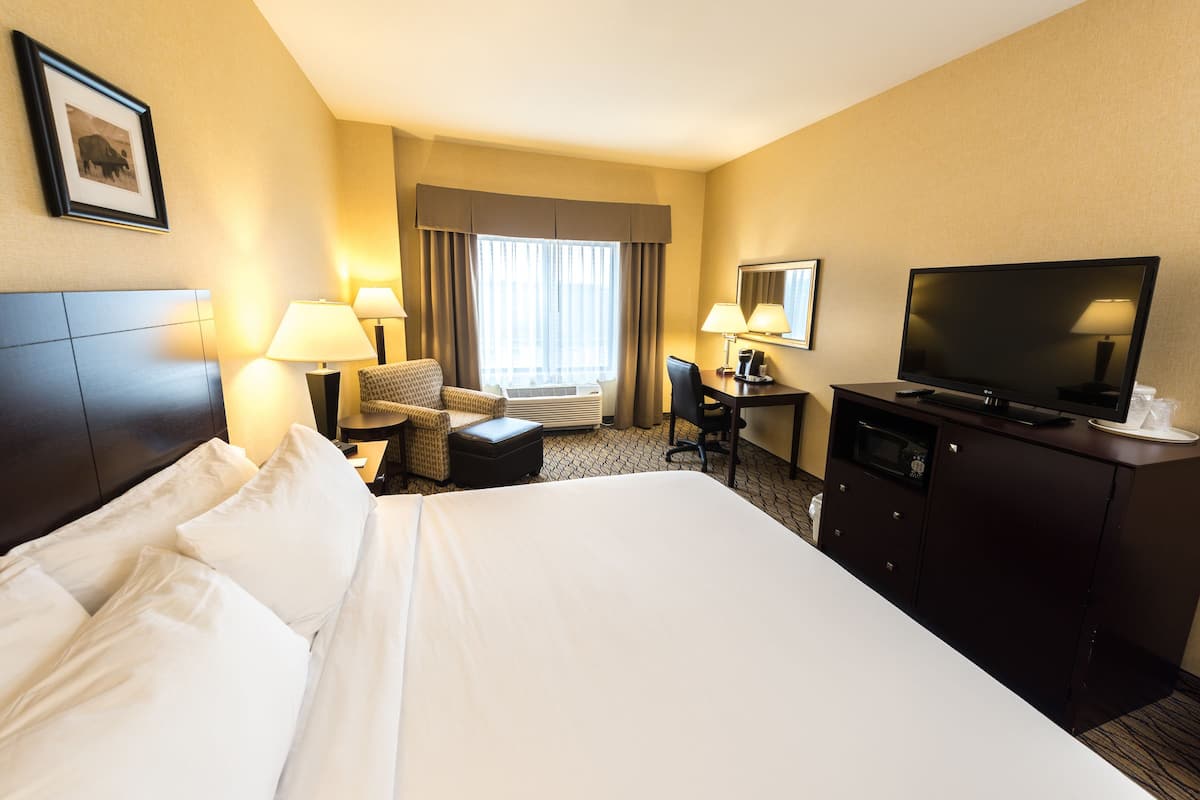 standard room, 1 king bed, non smoking | desk, iron/ironing board, free cots/infant beds, free wifi