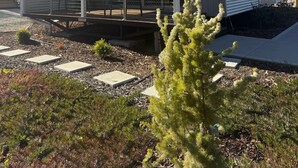 Una casa moderna de una sola planta con porche cubierto, un pequeño jardín con piedras y un joven pino al frente.