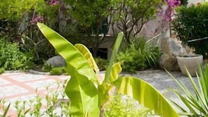 A building with a white facade and green shutters, covered in purple flowering vines. - Hotel Brigantino (Marciana)