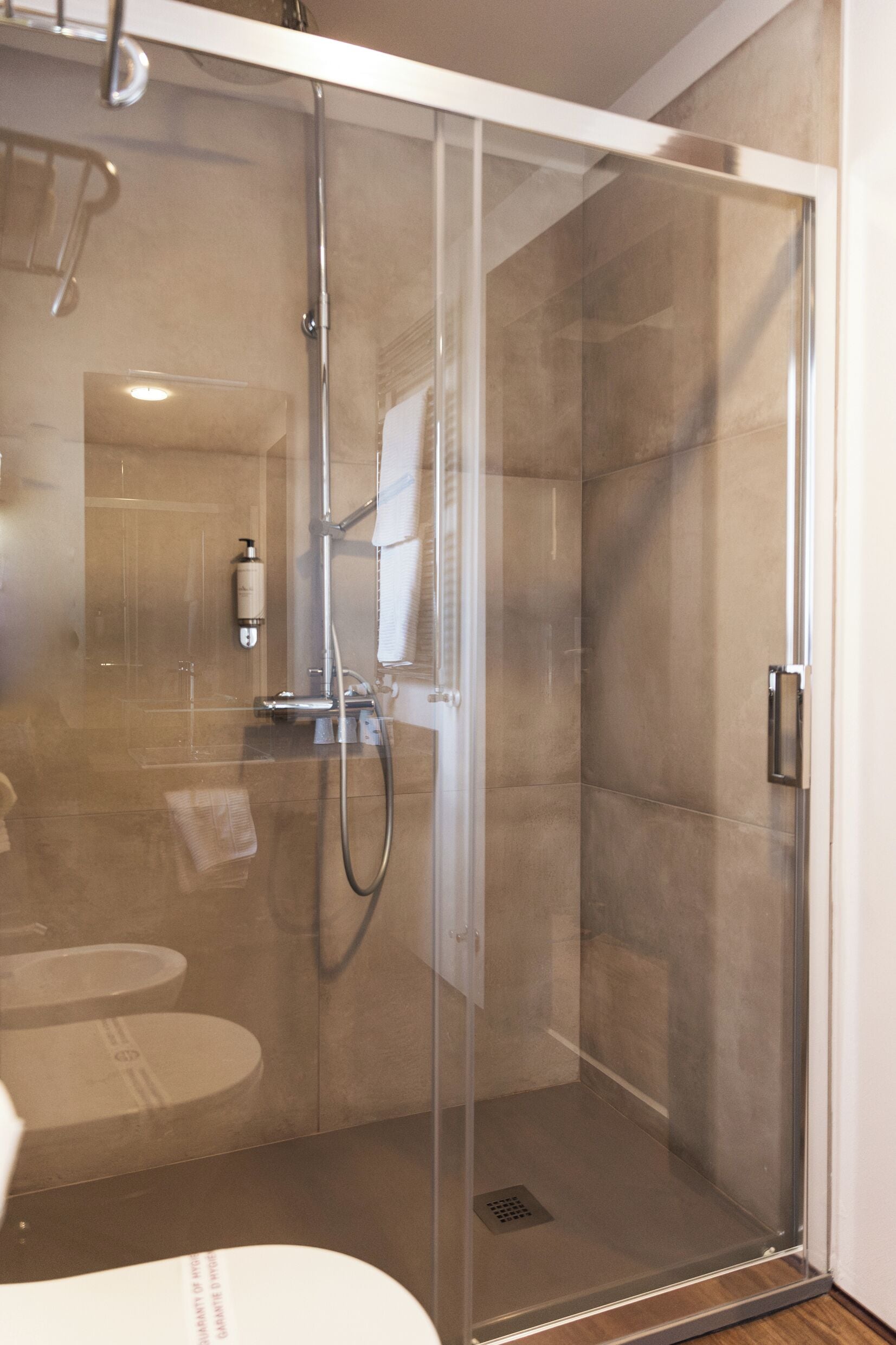 A glass-enclosed shower area with a handheld showerhead, a wall-mounted soap dispenser, and a visible toilet in the adjacent room.