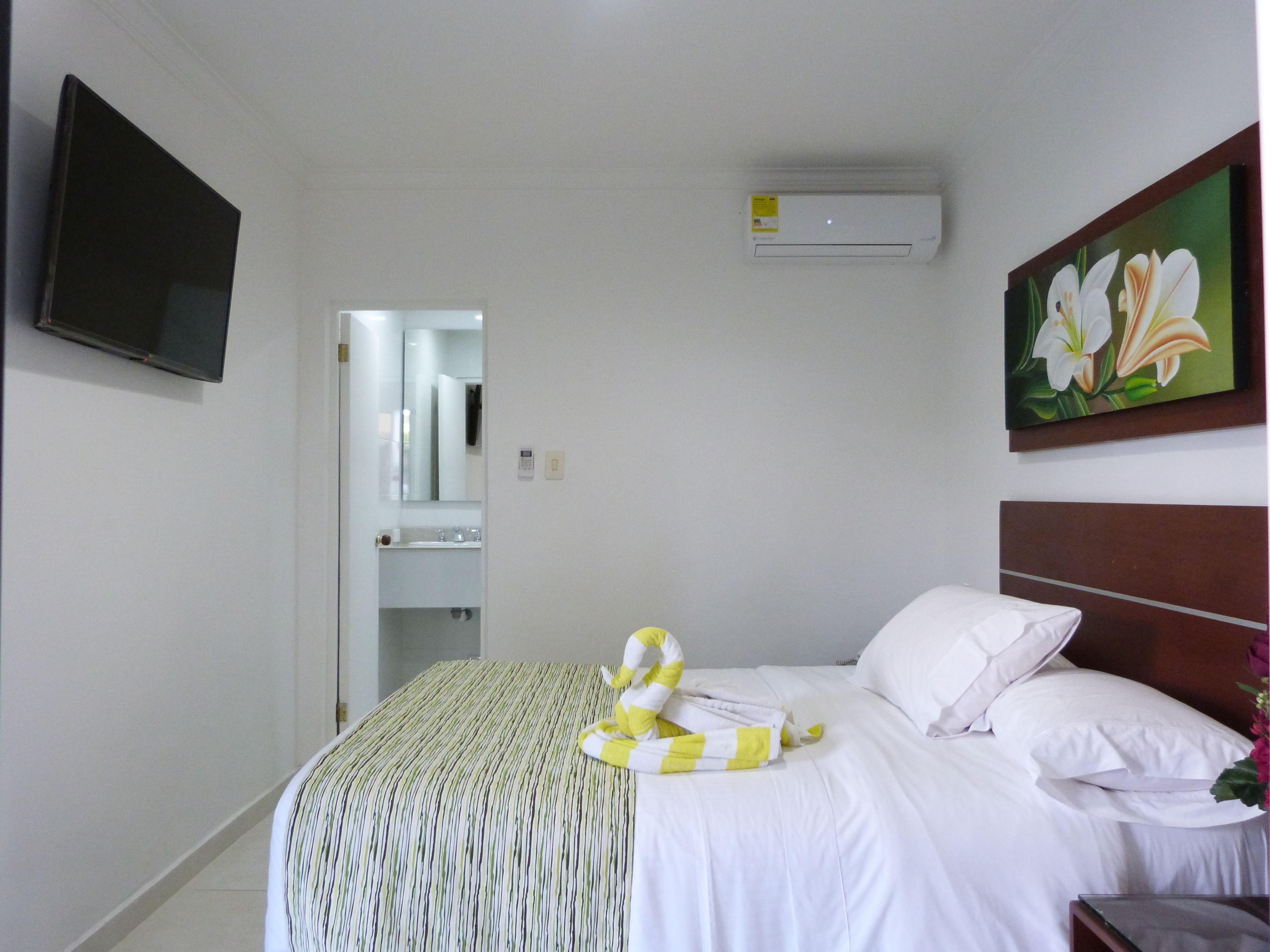 Habitación de hotel con cama, televisor de pantalla plana en la pared, aire acondicionado y un cuadro de flores.