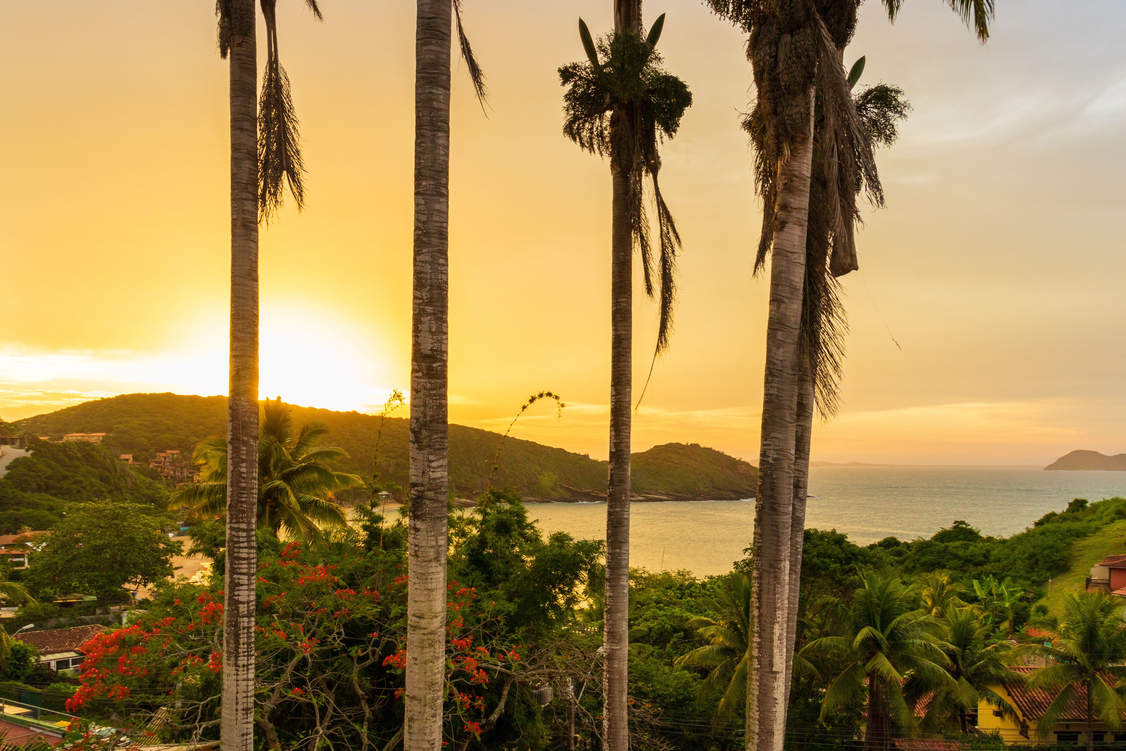 land view from property