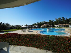 A swimming pool with sun loungers and umbrellas, surrounded by a landscaped garden with red flowers.