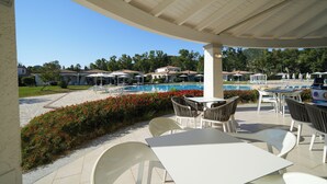 Zona de piscina exterior con sillones y mesas, rodeada por un jardín con flores rojas.