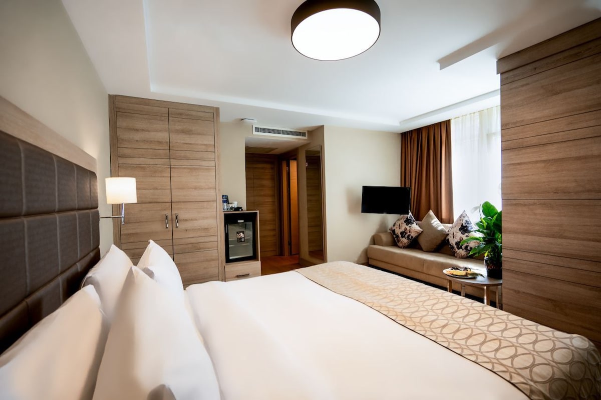 A hotel room with a large bed, a bedside table with a lamp, a TV, a sofa with cushions, and a plant.