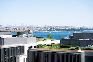 Vista desde la habitación