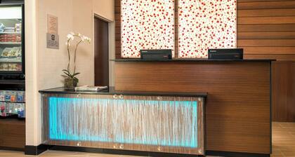 Fairfield Inn & Suites New York Manhattan/Downtown East