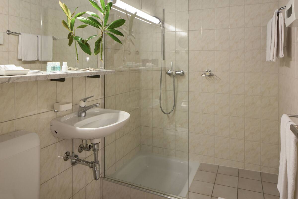 shower, free toiletries, hair dryer, towels