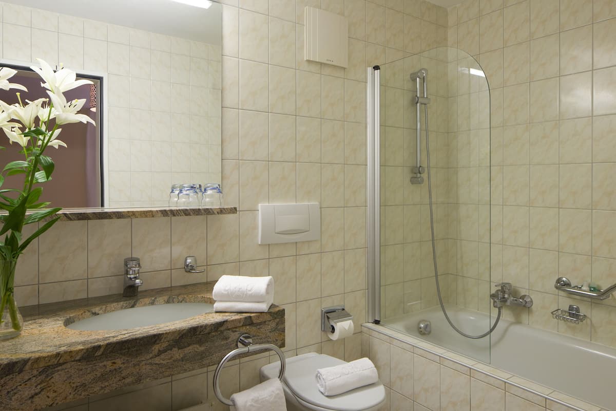 Shower, free toiletries, hair dryer, towels