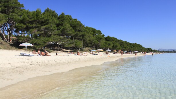 Uma praia com águas rasas e cristalinas, areal arenoso e árvores ao fundo.