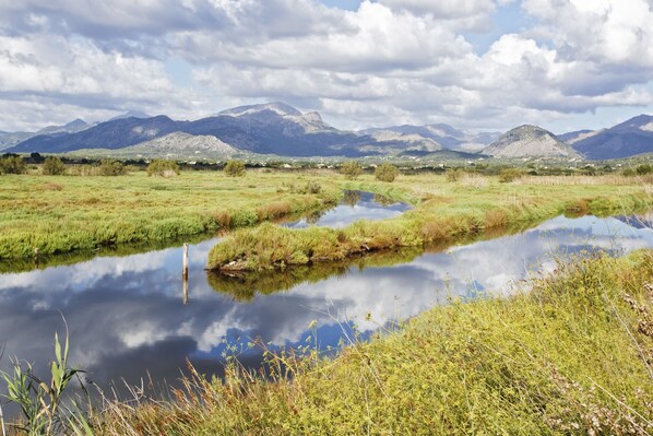A natural landscape with a calm water body reflecting the sky and mountains in the background. - Hostal Blanca (Santa Margalida)