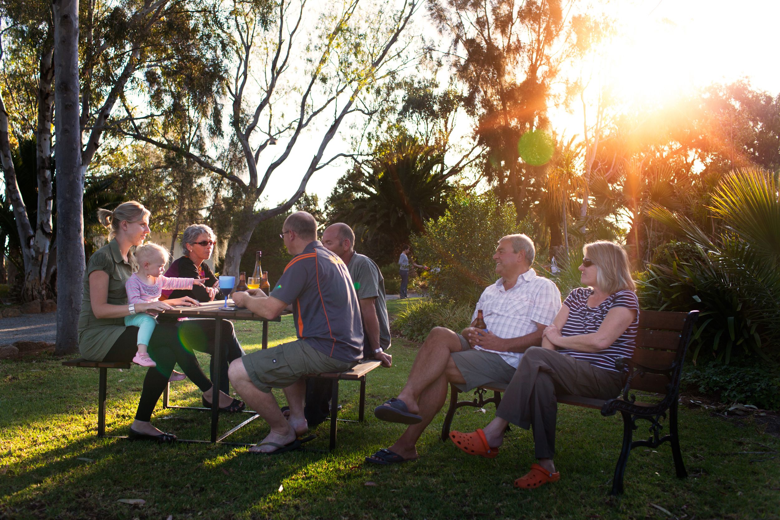 Un grupo de personas sentadas en una mesa al aire libre en un parque, con árboles y luz de sol al fondo.