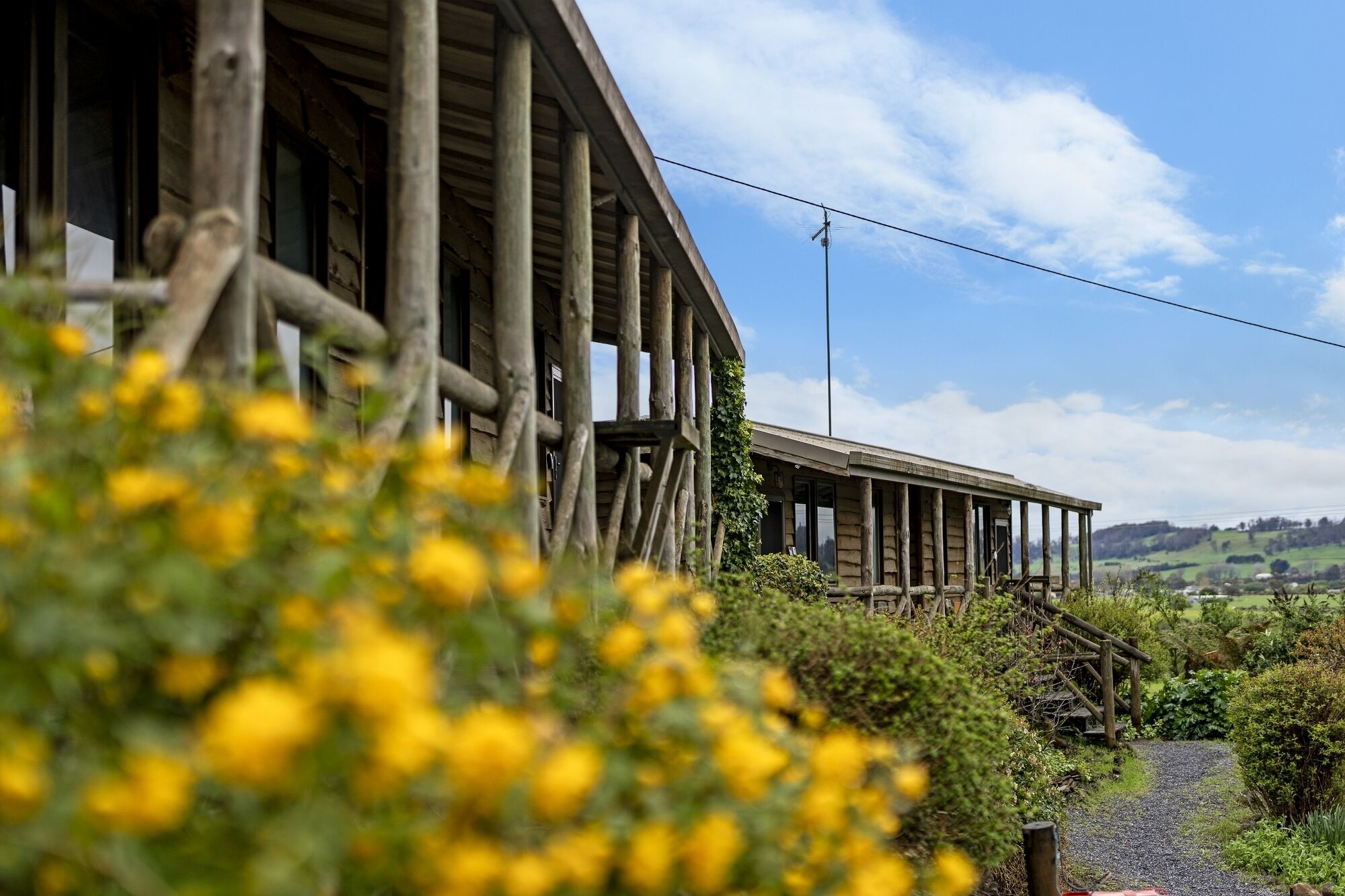 Mole Creek Cabins — image 23