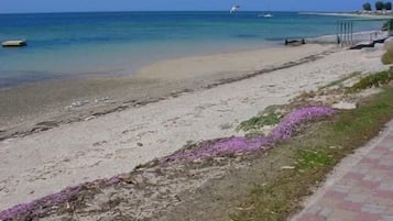 Una playa cerca