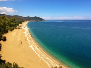 Beach nearby, free beach shuttle