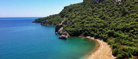 Nær stranden og buss til stranden (inkludert)