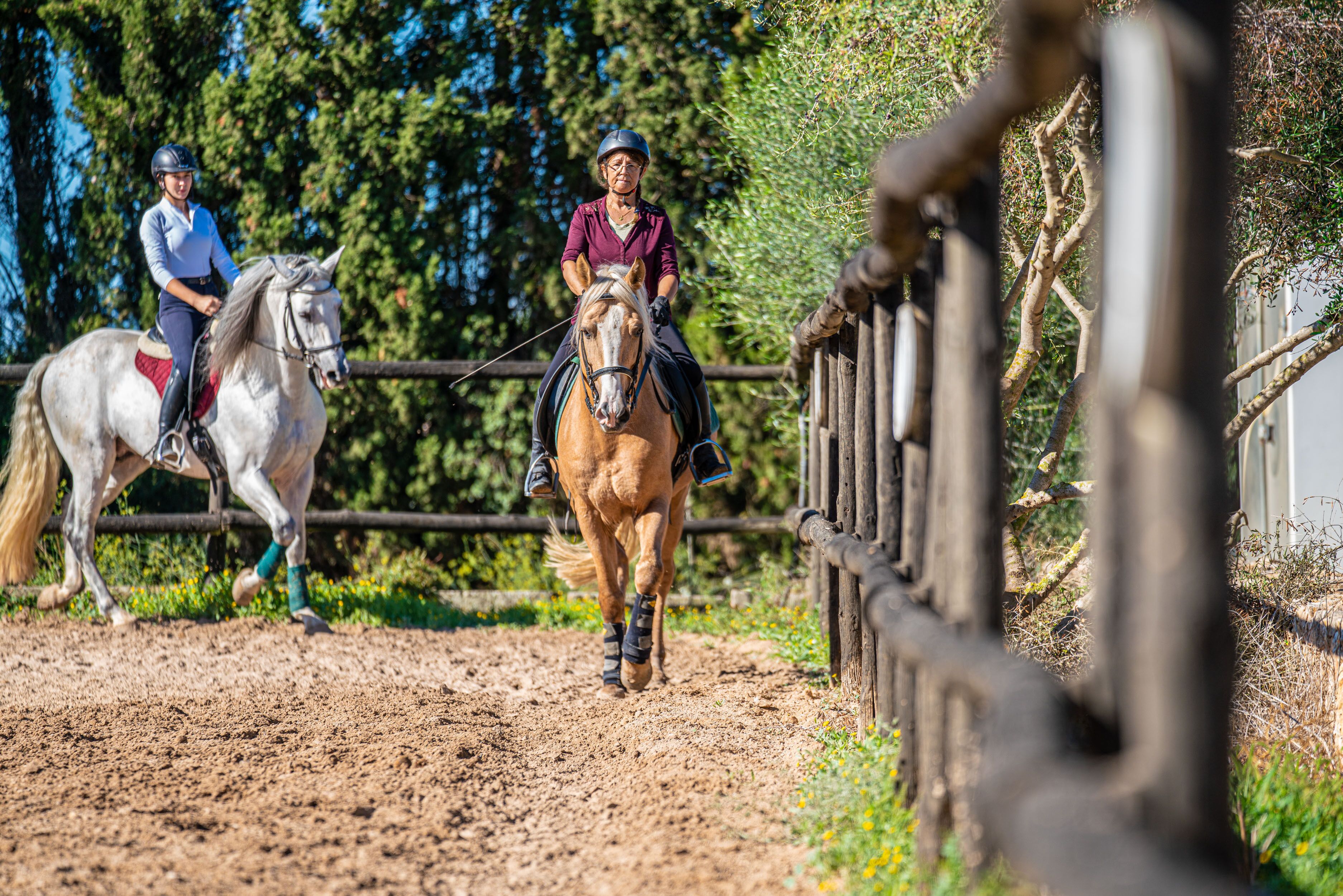 Foto - Finca Agroturismo Son Menut