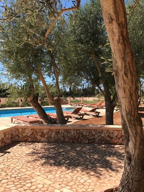 Outdoor pool, sun loungers - Son Menut (Felanitx)