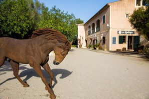 A horse walking down a street with buildings in the background. - Son Menut (Felanitx)