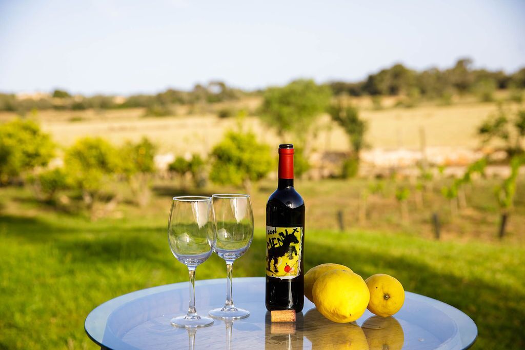 Photo - Finca Agroturismo Son Menut