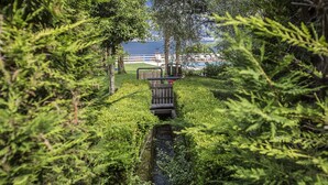 Un sendero entre la vegetación exuberante que conduce a una pequeña construcción de madera, con vista a un cuerpo de agua y edificios al fondo.
