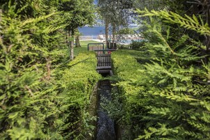 Un sendero entre la vegetación exuberante que conduce a una pequeña construcción de madera, con vista a un cuerpo de agua y edificios al fondo.
