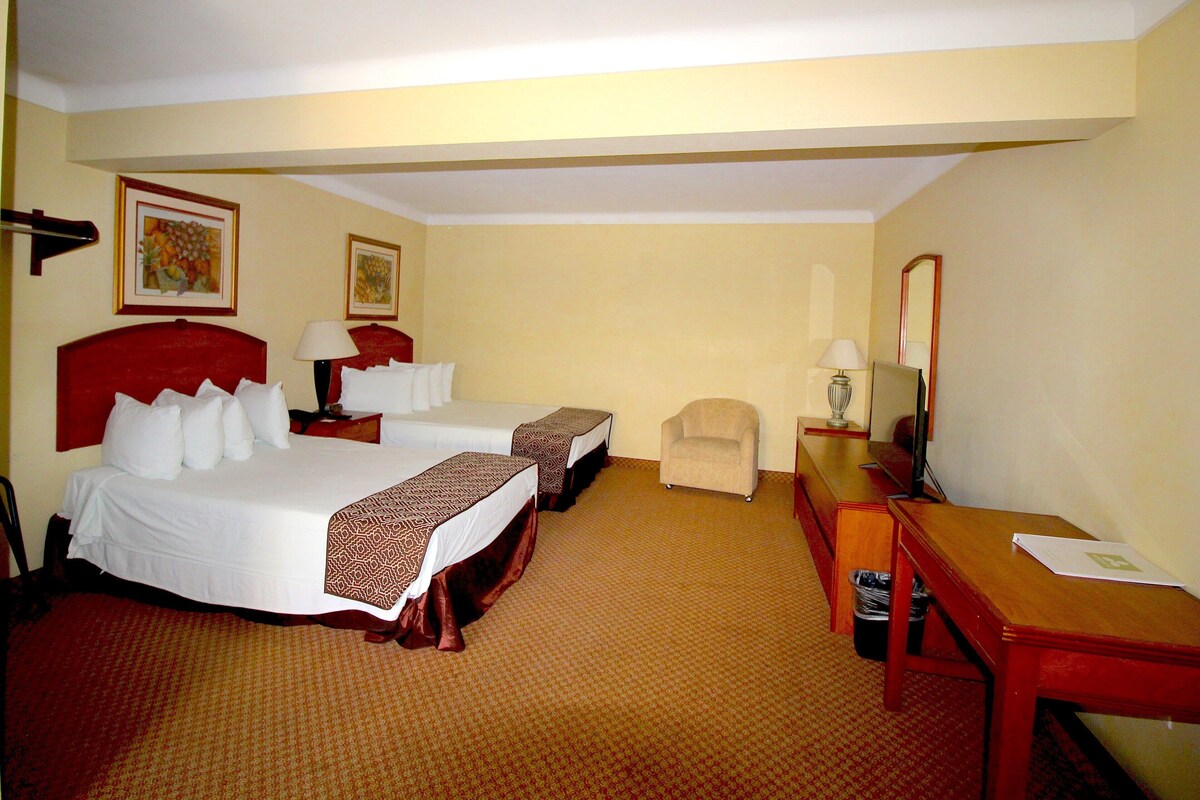 Minibar, desk, iron/ironing board, WiFi (free)