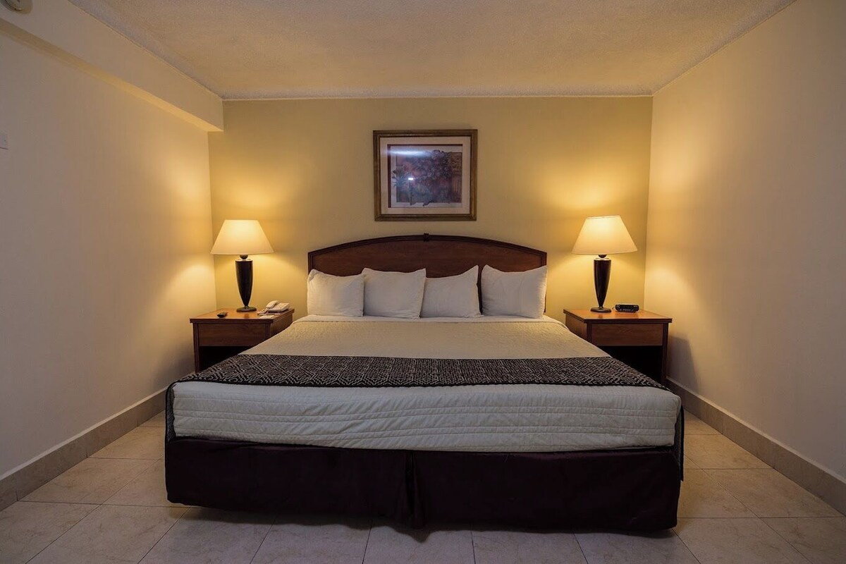Minibar, desk, iron/ironing board, WiFi (free)