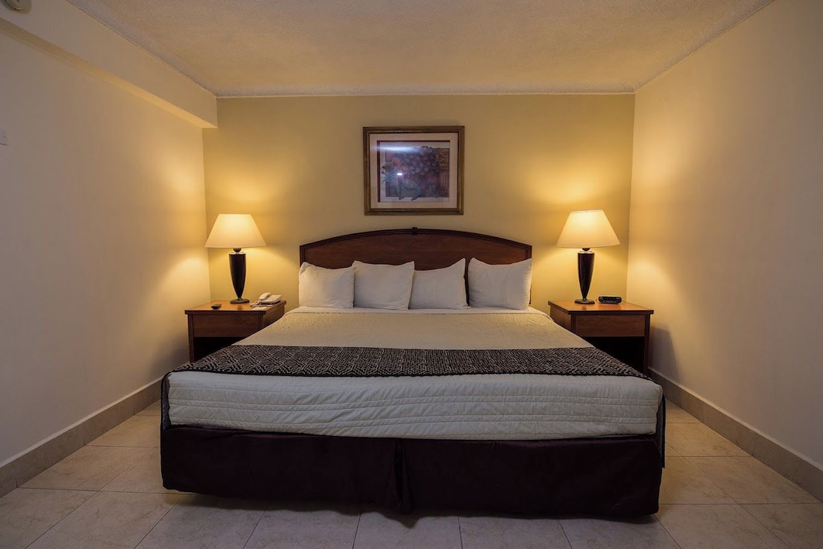 Minibar, desk, iron/ironing board, WiFi (free)