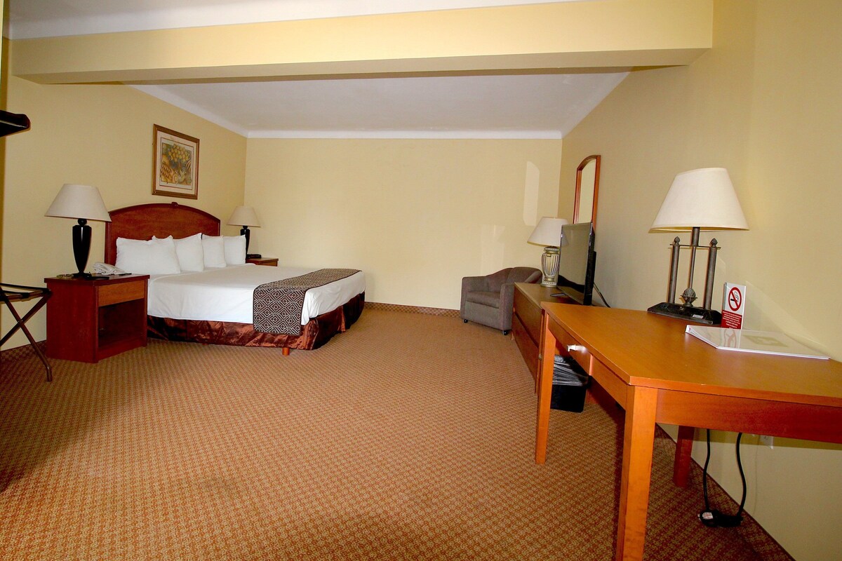 Minibar, desk, iron/ironing board, WiFi (free)