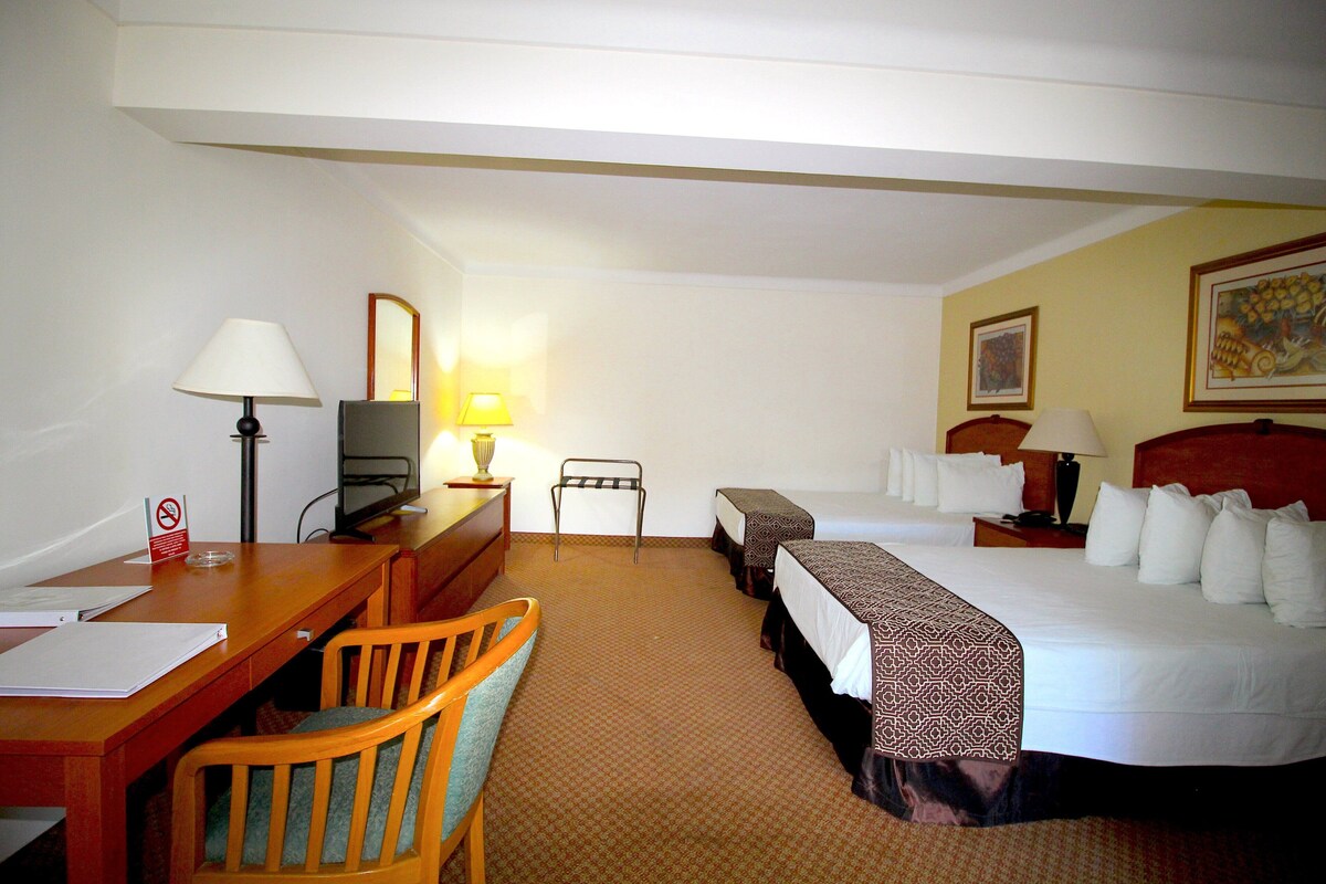 Minibar, desk, iron/ironing board, WiFi (free)