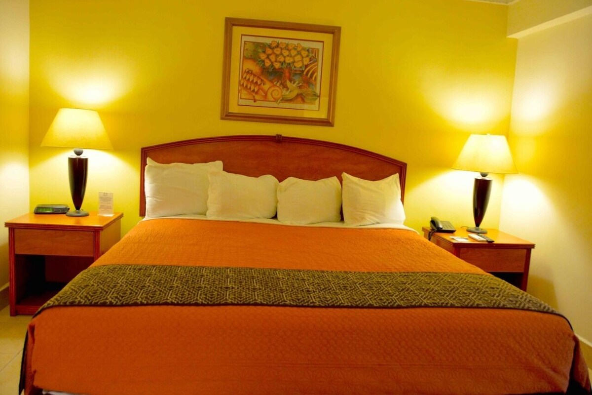 Minibar, desk, iron/ironing board, WiFi (free)